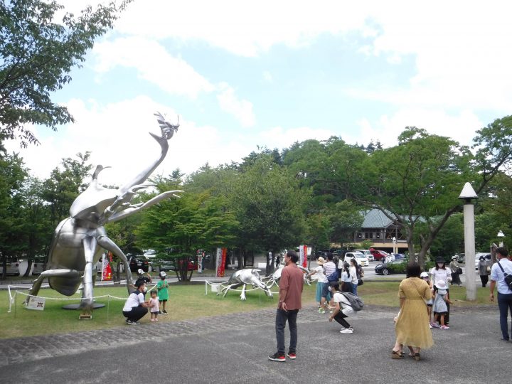 島根県立三瓶自然館展示の様子です