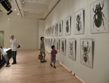 中嶋大道展「クワガタ大図鑑」（2012年）