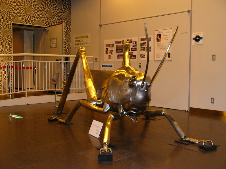 静岡科学館企画展「る･く･る昆虫ワールド」（2007年）