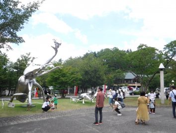 島根県立三瓶自然館展示の様子です