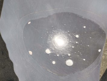 小さな宇宙…