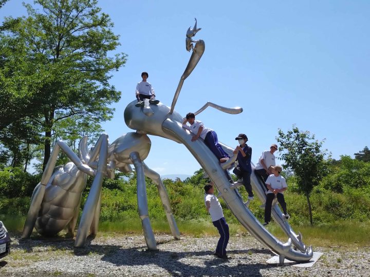蟻に乗った中学生